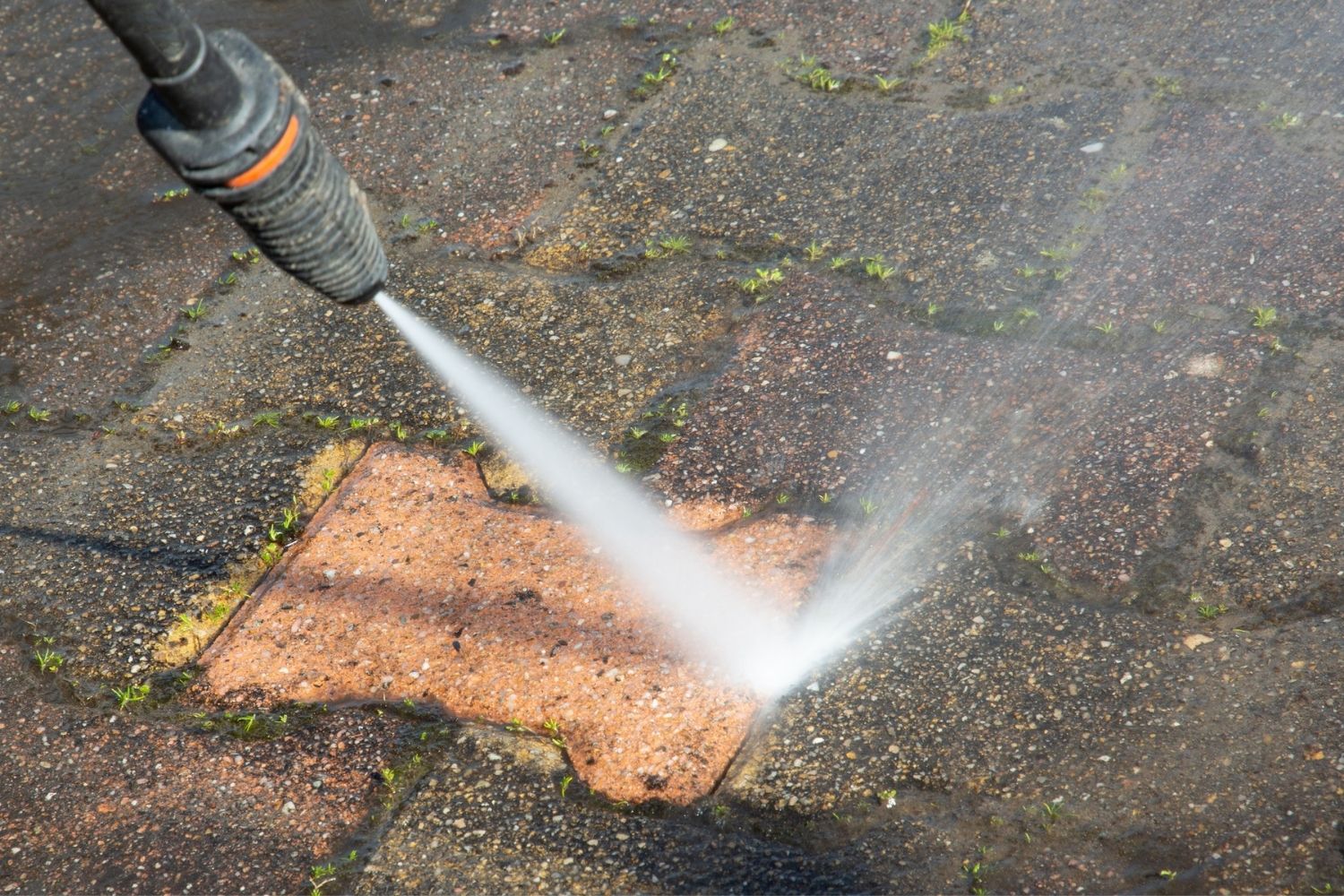 Professional driveway pressure washing service